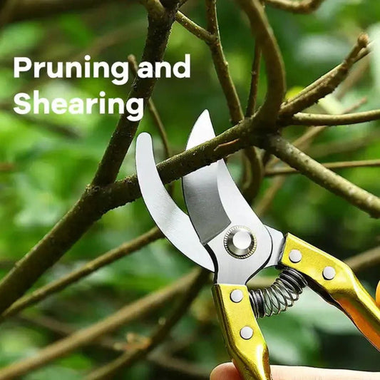 Gardening Tools - Garden Shears Pruners Scissor ( Multicolor) - 1 Piece